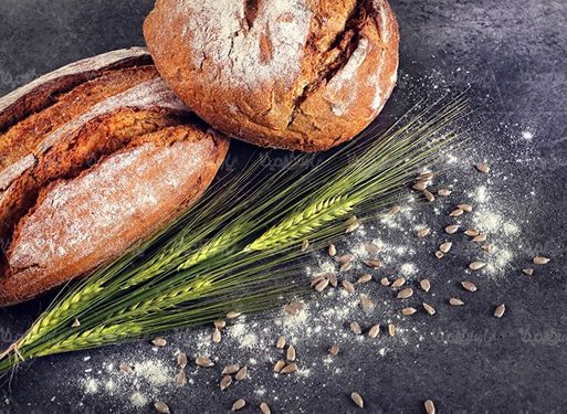 Bread