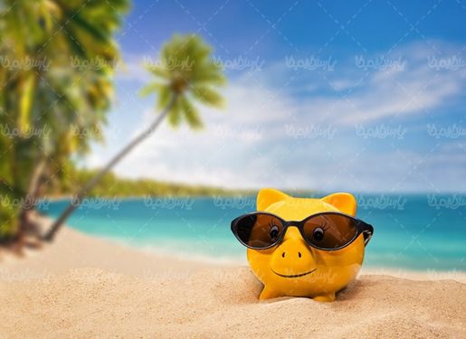 Piggy bank money