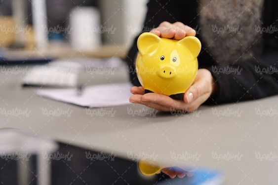 Piggy bank money