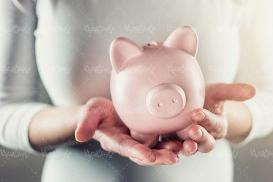 Piggy bank money