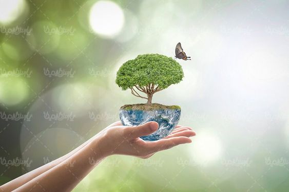 دختکاری