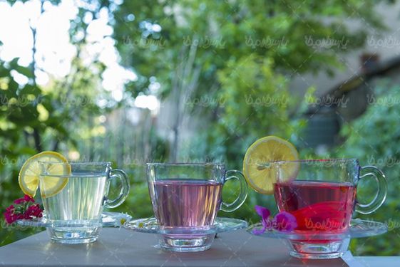 دمنوش گیاهی