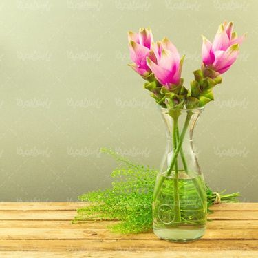گل طبیعی