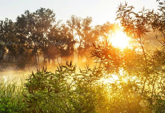 Sunrise view