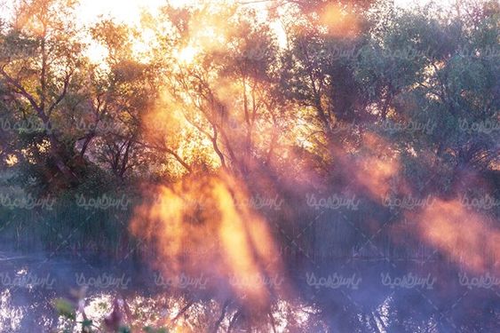 Sunrise view