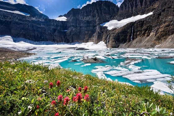 فصل بهار