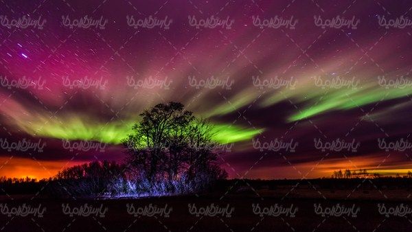 Aurora