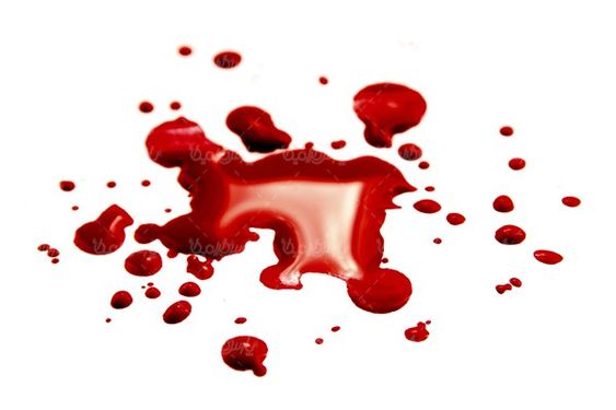 Blood