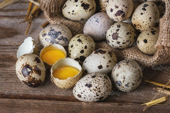 Quail eggs