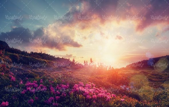 چشم انداز طلوع خورشید