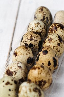 تخم بلدرچین