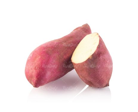 تربچه