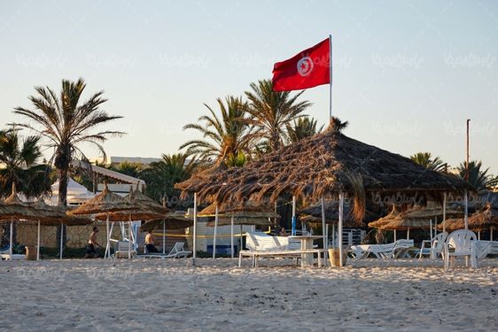 ساحل دریا