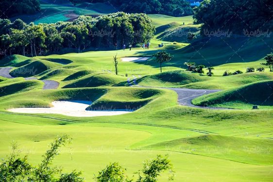 golf field