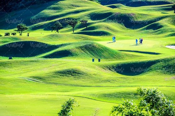 golf field