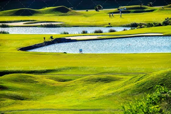 golf field