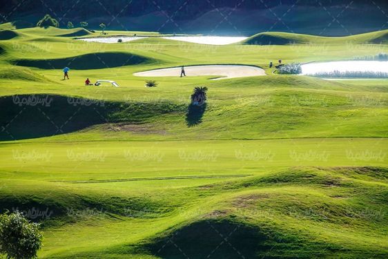 golf field