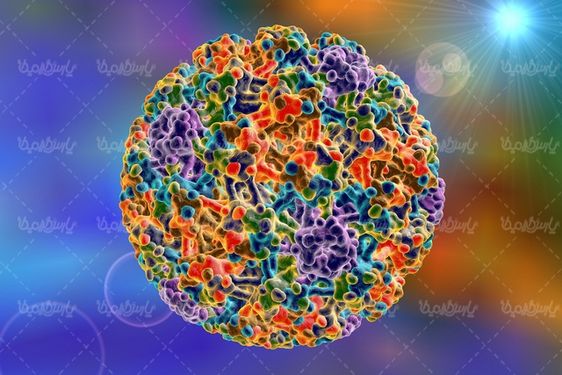 Virus