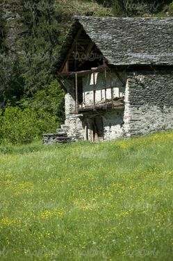 کلبه قدیمی