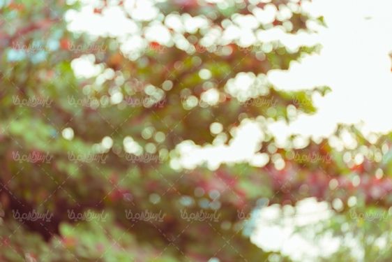 دانلود رایگان تصویر مات
