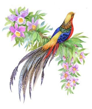 نقاشی پرنده