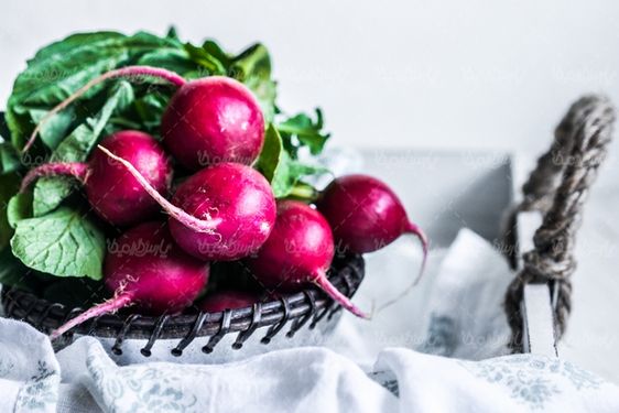 تربچه