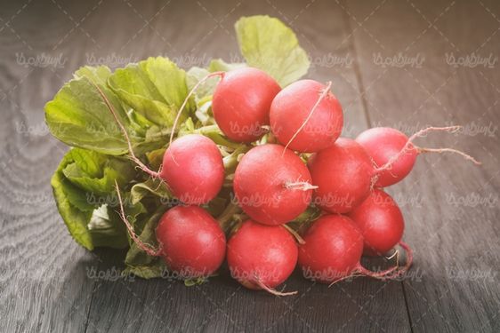 Radish