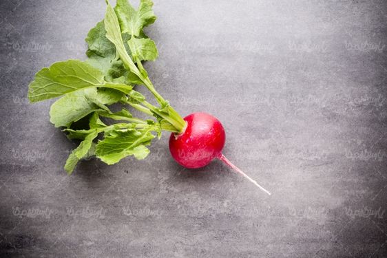 Radish