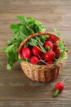 Radish