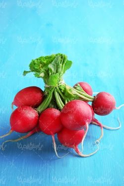 Radish