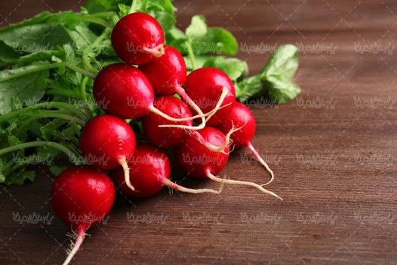 دانلود رایگان عکس تربچه