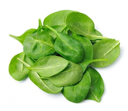 اسفناج
