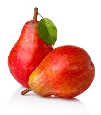 گلابی