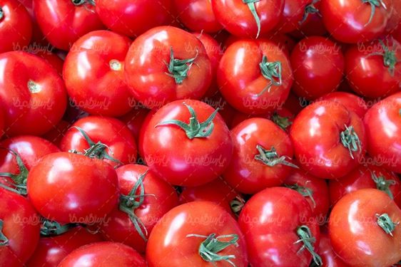 دانلود رایگان عکس گوجه فرنگی