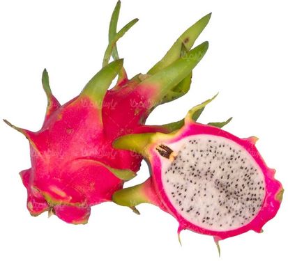 عکس با کیفیت میوه استوایی