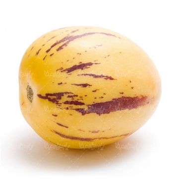 خربزه