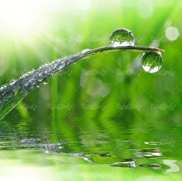 Water