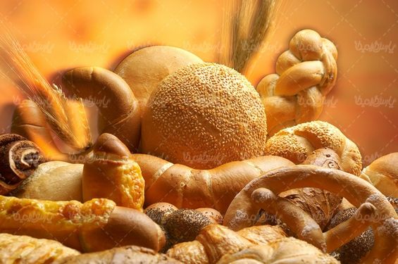 Bread
