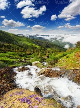رودخانه