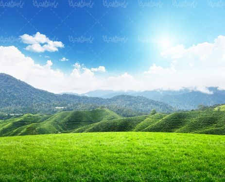 دانلود عکس با کیفیت بهار