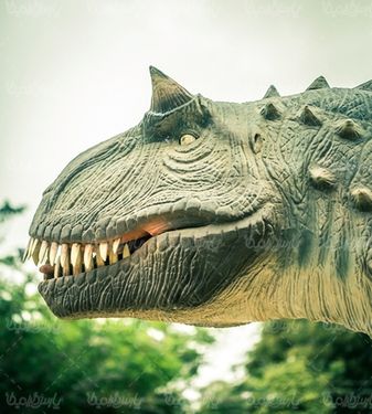 Dinosaur