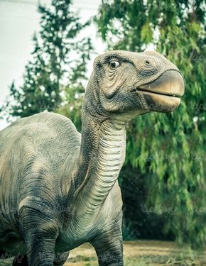 Dinosaur