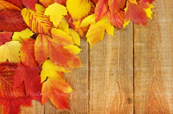 Autumn landscape