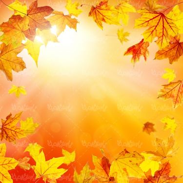 Autumn landscape