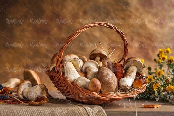 Mushrooms