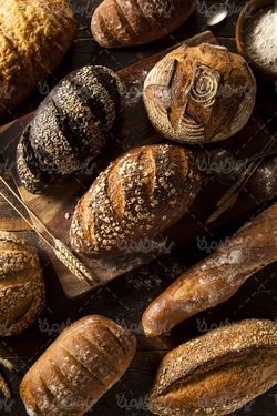 Bread