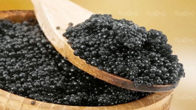 خاویار
