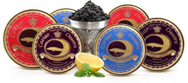 دانلود رایگان عکس خاویار
