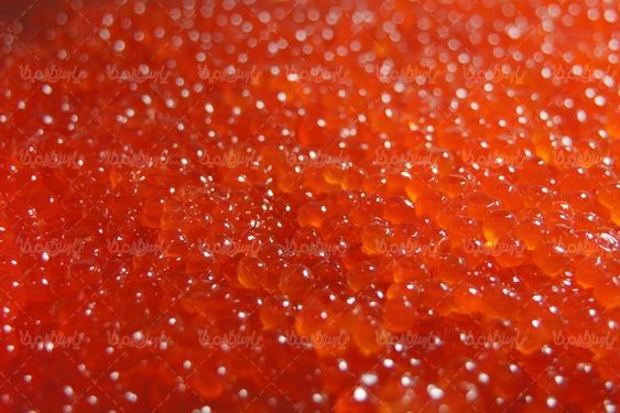 گوشت خاویار