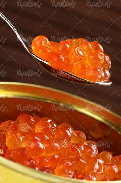Download free caviar photos